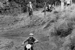 AX-img139
